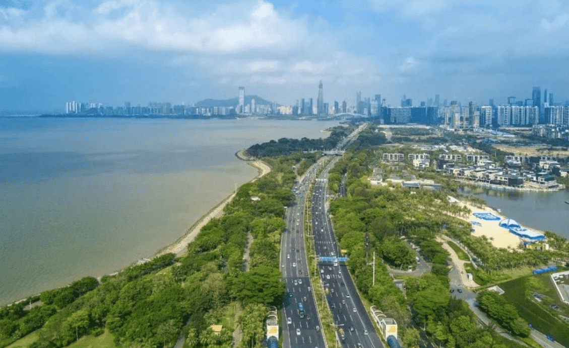 深圳濱海大道（海堤、道路）詳勘工程