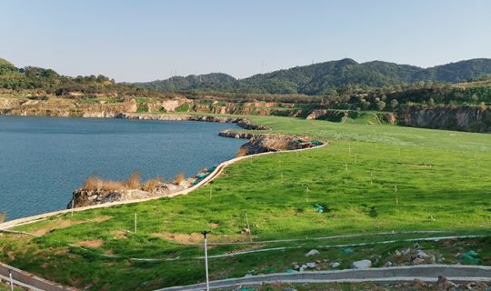 新橋街道聯(lián)發(fā)石場復綠工程